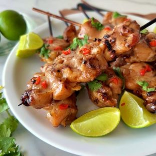 Grilled Chicken Skrewer Recipe